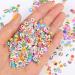 CCINEE Nail Art Slices 3D Assorted Fruit Slices Animal Flower Polymer Clay Slices for Slime Craft 4500PCS 1/5 Inch Style 1 - Buy Online on GoSupps.com