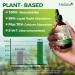 2 Pack Plant Vitamin D3 K2 Liquid 10000 IU w/ Vegan Omega-3 & Coconut MCT Oil - Maximum Strength Vitamin D Supplement No Fillers Non-GMO K2 as MK7 for Bones Muscles & High Absorption-2 Fl Oz 2 Fl Oz (Pack of 2) - Buy Online on GoSupps.com
