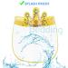 General Use Protective Face Shield Multi Packs (5x Kids Shields Crown) - Buy Online on GoSupps.com