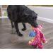 GoDog Dragons Squeaker Plush Dog Toy - Chew Guard Technology - Durable & Chew Resistant - Multiple Styles & Sizes - Large Coral - Buy Online on GoSupps.com