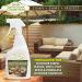 Buy STAR BRITE Outdoor Collection Mildew Stain Remover - 1 Gallon | Effective & Fast Shipping Worldwide - Buy Online on GoSupps.com