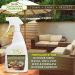 Star Brite Outdoor Collection All Surface Mildew Stain Remover 32oz - Protect Patio Furniture & Bar Tops - Buy Online on GoSupps.com