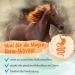 Ida Plus Beer Yeast BT 6kg | Premium Feeding Supplement for Horses & Ponies | Enhances Glossy Fur Strong Skin Supports Digestion Rich in B Vitamins & Minerals - Buy Online on GoSupps.com