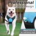 Eagloo Small Dog Harness - Adjustable Anti-Train Harness with Reflective Strips for Walking & Jogging - Durable Light Blue Breast Harness (1 Pack) - Buy Online on GoSupps.com