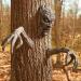 Unique Border Tree Ornament & Creative Bark Face Halloween Makeup Props - Buy Online on GoSupps.com