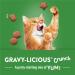 Friskies Party Mix Cat Treats Gravy-licious Crunch Turkey and Gravy - 170 g Pouch (1 Pack) 170 g (Pack of 1) - Buy Online on GoSupps.com