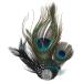 Nuobesty pfau fascinator 1pcs make-up headwear performance headwear spring headwear for festive dance party dress up new feather headwear for prom performance pfau feathers decor