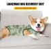 Buy Lianzimau Dogebody After Op Body Suit for Male Dogs - Wound Protection & Comfort | Tie-Dye Green Surge Suit - Buy Online on GoSupps.com