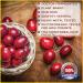 Quantum Kidney Support with Fermented Cordyceps - 60 Plant-Based Capsules - Buy Online on GoSupps.com