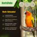 Buy Corkast Swing for Birds & Rodents | Natural Cork Play & Nibble Toy | Disinfected | 2.5-5 cm | 20 cm Width | Durable Stainless Steel Hook - Buy Online on GoSupps.com
