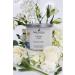 Nautica Shifting Tides Soy Candle - Premium Scented Candles for Home - International Shipping Available - Buy Online on GoSupps.com