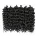 Romance Hawaii Curl 6Pcs 20 Inch Ocean Wave Crochet Braid Hair Extensions - Synthetic Deep Wave 1B - Buy Online on GoSupps.com
