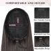 Reecho 28 Long Straight Ponytail Extension - Chestnut Brown with Blonde Highlights | Synthetic Drawstring Hairpiece for Women - Buy Online on GoSupps.com