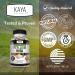 Kaya Naturals Psyllium Husk Capsules - 60 Count | High Fiber Supplement | Digestive Health & Regularity | Gluten-Free Non-GMO 60 Count (Pack of 1) - Buy Online on GoSupps.com