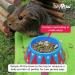HAYPIGS Guinea Pig Bowl - Circus Themed Junior Mini Food Bowl for Small Animals | Craving Tamer Hedgehog, Hamster, Guinea Pig Bowl - Buy Online on GoSupps.com
