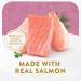 Fancy Feast Classic Broths Cat Food Complement Wild Salmon & Vegetables - 40 g Pouch (16 Pack) Salmon & Vegetables 16 - Buy Online on GoSupps.com
