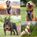 SLZZ Personalized Custom No Pull Dog Harness Leash Set with Name Phone Number-Heavy Duty Reflective Soft Padded Vest with Easy Control Handle for Small Medium Large Dog-2 Leash Attachments - Buy Online on GoSupps.com