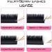Easy Fan Lashes Eyelash Extensions | 0.03 0.05 0.07 Rapid Blooming C/D/DD Curl | Volume Lashes 8-20mm - International Shipping Available - Buy Online on GoSupps.com