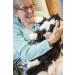 Joy For All Robotic Reclining Tuxedo Cat - Stuffed Animal Therapy for Memory Loss & Caregivers - Buy Online on GoSupps.com