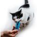 Webbox Lick e Lix Cream with Liver Cat Treats 5 Pieces Case of 17 | Tasty and Nutritious Sachets - Packaging May Vary - Buy Online on GoSupps.com