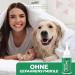 Silver Power Spot On Solution 100ml - Effective Tick Flea Mite & Lice Treatment for Dogs & Cats - Safe Anti-Vermin Remedy for Young Pets 12 Weeks+ - Buy Online on GoSupps.com