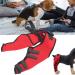 Premium Canine Recovery Knee Support Comfortable Leg Brace for Dogs in Red Medium Ideal for Post Surgery & Injury Protection (S) S Red - Buy Online on GoSupps.com