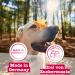 Buy Chewies Hundeleckerli Training Maxi Lachs - 200g Sugar-Free Dog Snacks with High Meat Content for Training | Premium Salmon Treats - Buy Online on GoSupps.com