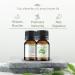 Lemon Myrtle Essential Oil - Pure Therapeutic Grade - Invigorating Citrus Aroma - 5ml - International Shipping Available - Buy Online on GoSupps.com