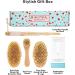 Vegan Dry Brush Set for Cellulite & Lymphatic Drainage - Natural Cactus Bristles - Body & Face Brushing - 4 Piece - Buy Online on GoSupps.com