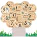 Funmo 15-Piece Baby Monthly Milestone Cards Double Sided Wooden Prop for Newborn Photography and Birth Announcements - Buy Online on GoSupps.com