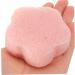 Beavorty Flutter Sector Facial sponges for Washing face The Flowers Plant sponges for facials Tool The face Facial Sponge Round Clean Cute Dry Puff Sponge face - Buy Online on GoSupps.com