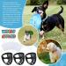 3 Pack Washable Protective Dogs House Discus Wastes Pants - Black (M) | Health & Comfort for Pets - International Shipping - Buy Online on GoSupps.com