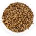 GOLDWORMS: Non-GMO Dried Black Soldier Fly Larvae - 85X More Calcium - Treats for Chickens, Wild Birds, Hens, Ducks, Reptiles - 2lb Pack - Buy Online on GoSupps.com