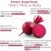 Organic Beet Root Capsules 1300mg - Blood Pressure Support & Nitric Oxide Supplement | Antioxidant & Brain Food | Vegan 60 Ct - Superfood for Better Circulation - Buy Online on GoSupps.com