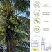 Buy Yethious Coconut Fragrance Oil 100ML - Ideal for Diffusers Candle Making Soap & Home Aromatherapy - Scented Coconut Oil for Car Freshies & Soy Candles - Perfect for Festivals & Vacations - Buy Online on GoSupps.com