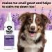 Buddycare Dog Deodorizing Spray - Lavender Soothing Spray with Aloe Vera & Pro-Vitamin B5 (200ml) - International Shipping - Buy Online on GoSupps.com