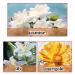 2PCS Pheromone Perfume enhanced scents pheromones for women Long-lasting and Personal Roll-on Perfume Portable Perfume Female - Buy Online on GoSupps.com