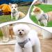 Escape Proof Cat Harness and Lead Set Soft Mesh Puppy Harness Adjustable Soft Cat Walking Jackets Breathable Cat Leash Comfortable Kitten Harness for Large Medium Small Pets Walking Grey(XS) - Buy Online on GoSupps.com