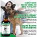 Kidney Support Drops for Dogs and Cats 60ml for Healthy Kidney Function in Cats and Dogs Natural Herbal Supplements Increase Immunity (Dogs) - Buy Online on GoSupps.com