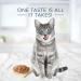 Blue Buffalo Tastefuls Natural Flaked Wet Cat Food - Premium Grain-Free Nutrition - Buy Online on GoSupps.com