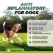 BUDDY'S BEST Anti-Inflammatory for Dogs - All-Natural Joint Pain Relief with Flaxseed Hemp Ginger & Turmeric Oils Soothing Formula 50ml - Buy Online on GoSupps.com
