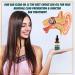 Organic Ear Oil for Infections - Natural Eardrops for Swimmer's Ear, Wax Removal & Pain Relief - Made in USA - Buy Online on GoSupps.com