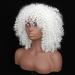 Shop Colorfulpanda Afro Kinky Wigs for Women | Short Wavy Synthetic Wig - Naturally Curly & Stylish - Buy Online on GoSupps.com