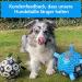 X Xben Dog Toys Ball - 20cm Interactive Football for Small & Medium Dogs | Durable Inflatable Perfect for Indoor & Outdoor Play - Buy Online on GoSupps.com