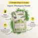 Organic Wheatgrass Powder 225g for Energy & Skin Health | Earths Basket - Buy Online on GoSupps.com
