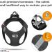 Buy Vest Harness Air-Mesh Black 2XS - No Curli D-Ring Buckle | Best Dog Harness for Comfort & Style - Buy Online on GoSupps.com