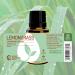 Rocky Mountain Oils Lemongrass Essential Oil - 15ml | Best for Diffusers & Topical Use - Premium Quality Essential Oil for Home & Wellness - Buy Online on GoSupps.com