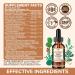 ReviNutra 16 in 1 Wormwood Black Walnut Clove Cleanse for Humans Liquid Drops with Soursop Oil of Oregano Pumpkin Seed PAU D arco Garlic for Gut Cleanse & Digestive Health, Strawberry Flavor 2 Fl Oz - Buy Online on GoSupps.com