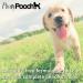 Pooch Tangle-Free Detangling Spray - Leave-In Conditioner for Dogs - 250ml - Buy Online on GoSupps.com