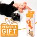 Motion-Activated Flopping Lobster Toy for Cats & Small Dogs | USB Rechargeable | Soft & Durable | Includes 2 Catnip Packets | Washable | Low-Noise | Fun Cat Nip Toy Gift | 11x4 In - Buy Online on GoSupps.com